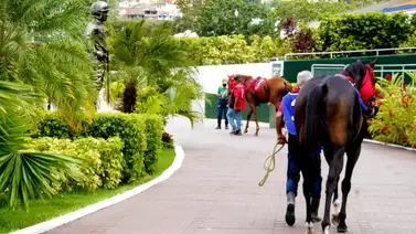 ¿Quieres información distinta a Pan de Azúcar y Qualitat? "Aquí tienes un ejemplar de buen dividendo" ¿Quieres información distinta a Pan de Azúcar y Qualitat? "Aquí tienes un ejemplar de buen dividendo"