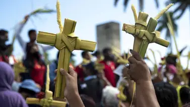 Semana Santa: ¿Por qué se celebra el Domingo de Ramos? Semana Santa: ¿Por qué se celebra el Domingo de Ramos?