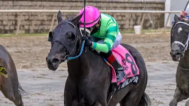 Este jinete zuliano alcanzó cifra récord en su historial luego de ganar 11 carreras esta semana Este jinete zuliano alcanzó cifra récord en su historial luego de ganar 11 carreras esta semana