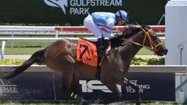 Jornada pletórica para jinetes y entrenadores venezolanos tras ganar 7 de 9 en este hipódromo Jornada pletórica para jinetes y entrenadores venezolanos tras ganar 7 de 9 en este hipódromo