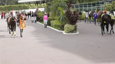 Conoce las razones porque este jinete aprendiz no pudo cumplir con sus compromisos de monta de la R13 Conoce las razones porque este jinete aprendiz no pudo cumplir con sus compromisos de monta de la R13