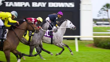 Samy Camacho se tomó el domingo para él en Tampa Bay Downs