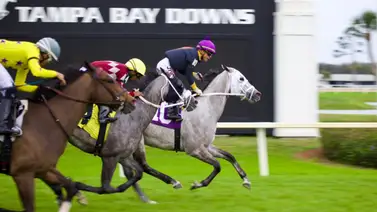 Samy Camacho se tomó el domingo para él en Tampa Bay Downs Samy Camacho se tomó el domingo para él en Tampa Bay Downs