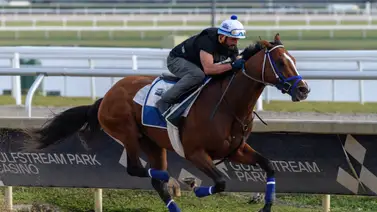 Ganador del Kentucky Derby del 2024 correrá en Churchill Downs en este Stakes Ganador del Kentucky Derby del 2024 correrá en Churchill Downs en este Stakes