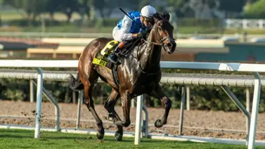 Jinete venezolano con sus victorias genera ganancias en el Pick5 y Pick6 más de $1.000 cada uno Jinete venezolano con sus victorias genera ganancias en el Pick5 y Pick6 más de $1.000 cada uno