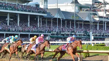 Estos son los nuevos ejemplares que correrán el Kentucky Derby en Churchill Downs Estos son los nuevos ejemplares que correrán el Kentucky Derby en Churchill Downs