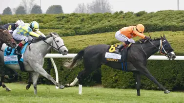 José Francisco D’Angelo muy cerca de los 30 stakes de por vida José Francisco D’Angelo muy cerca de los 30 stakes de por vida