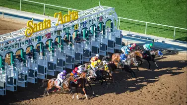 Este fin de semana comienza el Hollywood Meet de Santa Anita Este fin de semana comienza el Hollywood Meet de Santa Anita