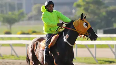 Con ambición y talento: Jinete aprendiz regresa en busca de su primera victoria en La Rinconada Con ambición y talento: Jinete aprendiz regresa en busca de su primera victoria en La Rinconada