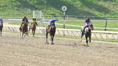 154 días de espera: La potra más costosa de Unicria 2023 vuelve a la acción 154 días de espera: La potra más costosa de Unicria 2023 vuelve a la acción