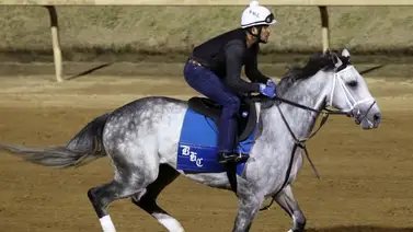 Tridente explosivo de Brad Cox se alista para el Kentucky Derby y Kentucky Oaks Tridente explosivo de Brad Cox se alista para el Kentucky Derby y Kentucky Oaks
