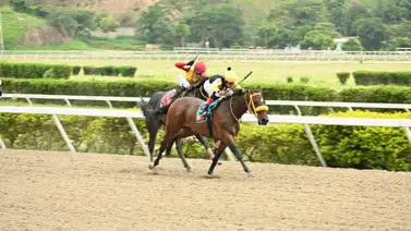 El regreso del legado: Nieto del ganador del Clásico Simón Bolívar (GI) vuelve después de 168 días de ausencia El regreso del legado: Nieto del ganador del Clásico Simón Bolívar (GI) vuelve después de 168 días de ausencia