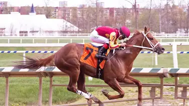 Jinetes venezolanos logran Hat-tricks en Laurel Park Jinetes venezolanos logran Hat-tricks en Laurel Park