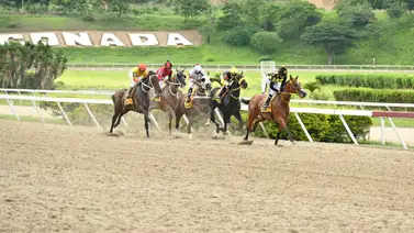 Yegua ganadora de una importante selectiva en el 2024 regresa con buenos ejercicios previos para la R14 Yegua ganadora de una importante selectiva en el 2024 regresa con buenos ejercicios previos para la R14