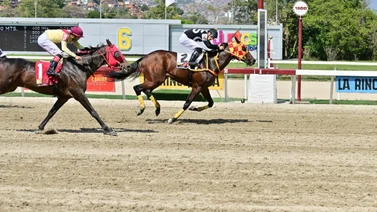 Ejemplar que tiene 217 días sin correr reaparece con el jockey que ha ganado sus últimas carreras