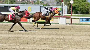 Ejemplar que tiene 217 días sin correr reaparece con el jockey que ha ganado sus últimas carreras Ejemplar que tiene 217 días sin correr reaparece con el jockey que ha ganado sus últimas carreras