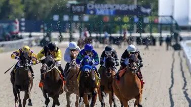 Datos de última hora para la jornada en Tampa Bay Downs 16-4-2025 Datos de última hora para la jornada en Tampa Bay Downs 16-4-2025