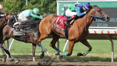 Mychel Sánchez lleva cinco victorias y aún le quedan las montas de este miércoles Mychel Sánchez lleva cinco victorias y aún le quedan las montas de este miércoles