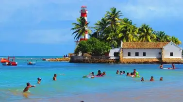 falcon 2025 semana santa adicora falcon 2025 semana santa adicora