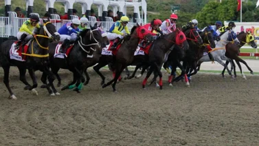 Entérate de las novedades para los clásicos de la Triple Corona venezolana en La Rinconada 
