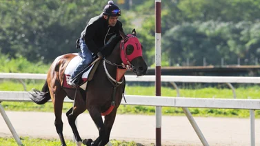Johan Aranguren: Con seis montas claves y grandes oportunidades de triunfo en la R14 (+Video)