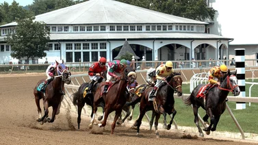 Laurel Park tiene una fiesta de 12 carreras y cinco Stakes para este sábado