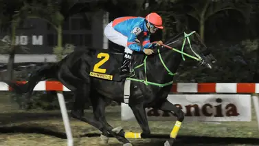 ¿Recuerdan cuál fue el último caballo en ganar el Clásico Presidente de la República por debajo de los 150? Acá te lo mencionamos ¿Recuerdan cuál fue el último caballo en ganar el Clásico Presidente de la República por debajo de los 150? Acá te lo mencionamos