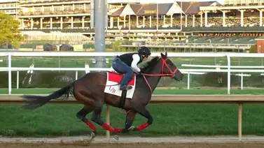 El ganador de 3 de 4 carreras clasificatorias para Kentucky Derby voló en su preparación El ganador de 3 de 4 carreras clasificatorias para Kentucky Derby voló en su preparación