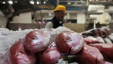 comprar pescado en La Guaira durante Semana Santa comprar pescado en La Guaira durante Semana Santa
