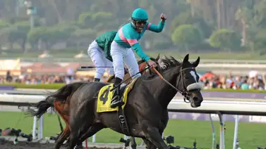 Nieto de “La Reina” Zenyatta será subastado este jueves en Ocala Nieto de “La Reina” Zenyatta será subastado este jueves en Ocala