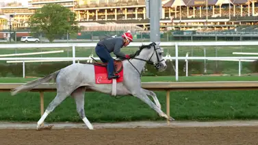 Hijo de Tapit trabajó clavo para el Derby de Kentucky Hijo de Tapit trabajó clavo para el Derby de Kentucky