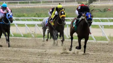 Estas yuntas se juntan para buscar su primera victoria en La Rinconada Estas yuntas se juntan para buscar su primera victoria en La Rinconada