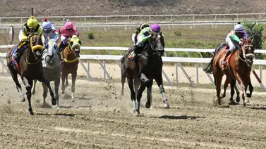 No te pierdas del ajuste clave de la línea de Gaceta Hípica para la Reunión Número 14 en La Rinconada No te pierdas del ajuste clave de la línea de Gaceta Hípica para la Reunión Número 14 en La Rinconada