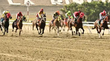 Te mostramos el ajuste de este ejemplar que aspira brillar en el Clásico Internacional Presidente de la República Te mostramos el ajuste de este ejemplar que aspira brillar en el Clásico Internacional Presidente de la República