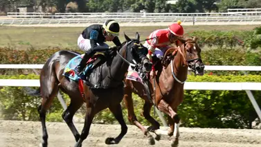 Esta yegua importada destaca con su ajuste para la R14 en La Rinconada Esta yegua importada destaca con su ajuste para la R14 en La Rinconada