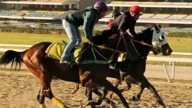 Conoce uno de los mejores ajustes de esta yegua previo a su debut en el 5y6 Conoce uno de los mejores ajustes de esta yegua previo a su debut en el 5y6