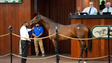 Segundo día de ventas en Ocala dejó récord con 6 ejemplares con valor sobre 1 millón de dólares Segundo día de ventas en Ocala dejó récord con 6 ejemplares con valor sobre 1 millón de dólares