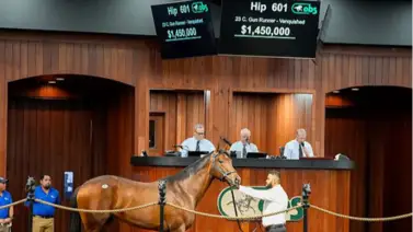 Este hijo de Gun Runner alcanzó la increíble cifra de venta en Florida Este hijo de Gun Runner alcanzó la increíble cifra de venta en Florida