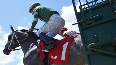 Datos de última hora incluye el Best Best y los Picks para la jornada en Gulfstream Park 17-4-2025 Datos de última hora incluye el Best Best y los Picks para la jornada en Gulfstream Park 17-4-2025