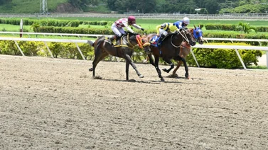 Cuidado con este ejemplar que no esta entre lo más cotizados y como ajustó puede sorprender en la tercera carrera de la R14