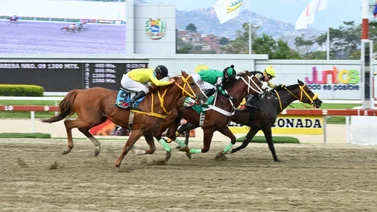 Hijo de Roger Rocket que viene de ganar y puede repetir tiene un remate de 12.4 en su ajuste previo a la R14
