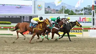 Hijo de Roger Rocket que viene de ganar y puede repetir tiene un remate de 12.4 en su ajuste previo a la R14 Hijo de Roger Rocket que viene de ganar y puede repetir tiene un remate de 12.4 en su ajuste previo a la R14