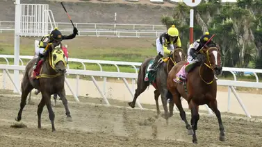 A esta hora descubre el dato más corrido que genera expectativa y es uno de los favoritos para el 5y6 Nacional A esta hora descubre el dato más corrido que genera expectativa y es uno de los favoritos para el 5y6 Nacional