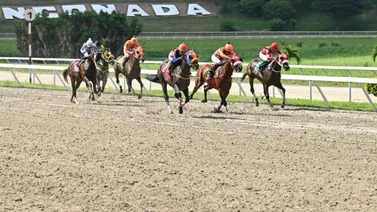 Entérate del ejemplar que da por video en carrera pareja y de ganar puede tumbar a más de uno en La Rinconada
