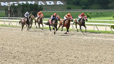 Entérate del ejemplar que da por video en carrera pareja y de ganar puede tumbar a más de uno en La Rinconada Entérate del ejemplar que da por video en carrera pareja y de ganar puede tumbar a más de uno en La Rinconada