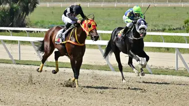 Atención aficionados porque este ejemplar promete ser el “dato escondido” para la jornada del 5y6 Atención aficionados porque este ejemplar promete ser el “dato escondido” para la jornada del 5y6