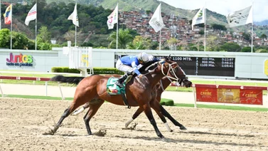 Esto es lo que debes saber del ejemplar Premiado uno de los fijos del 5y6 dominical