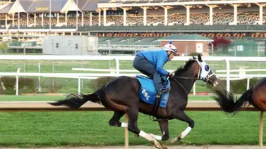La invicta Good Cheer ajustó condición para el Kentucky Oaks La invicta Good Cheer ajustó condición para el Kentucky Oaks