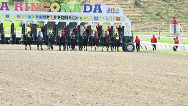 El ajuste de este caballo maduro podría ser la carta secreta en el Clásico Presidente de La República El ajuste de este caballo maduro podría ser la carta secreta en el Clásico Presidente de La República