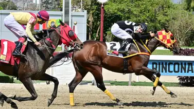 Así cómo ajustó el dato de "los vivitos" puede lograr con victoria el 5y6 de la R14 Así cómo ajustó el dato de "los vivitos" puede lograr con victoria el 5y6 de la R14